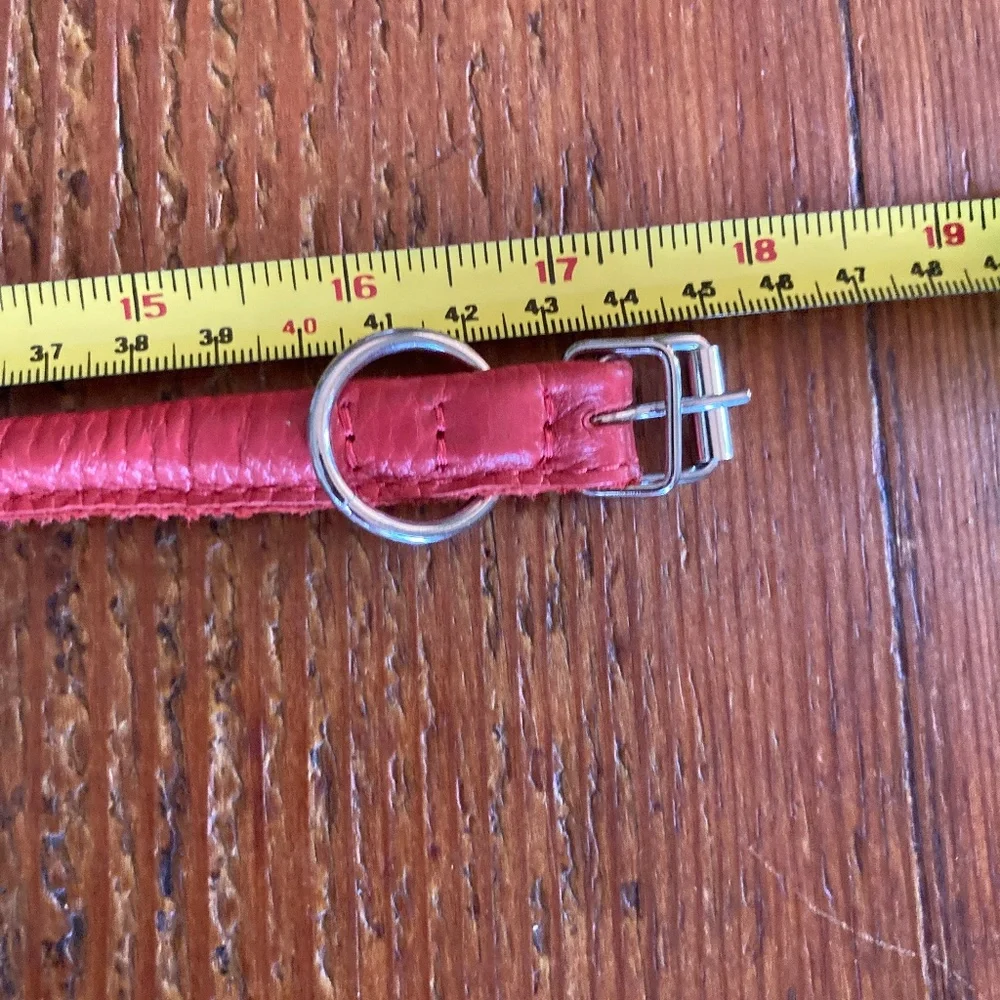 NWOT Rolled Leather Dog Collar in Red